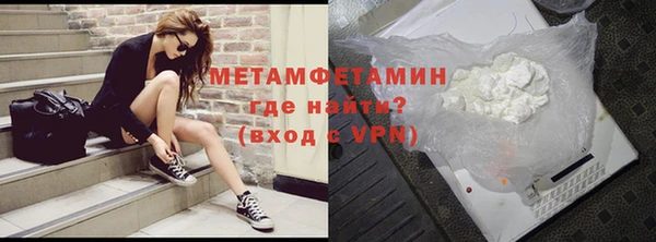 прущие грибы Липки