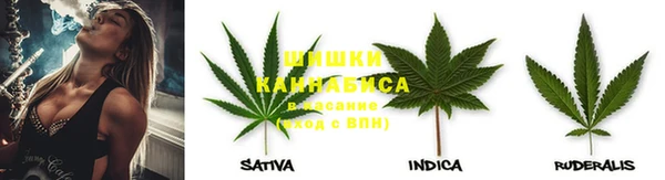 прущие грибы Липки