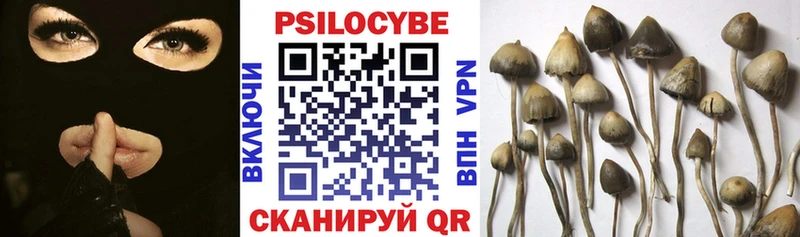 darknet Telegram  MEGA   Краснодар  Галлюциногенные грибы Psilocybine cubensis 