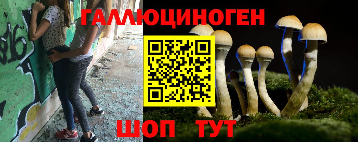 Галлюциногенные грибы прущие грибы Краснодар